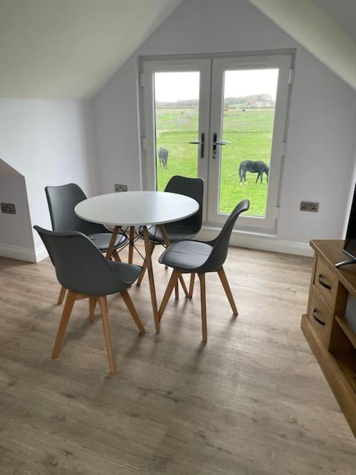 Appaloosa Suite With Amazing Views Of Stud Farm. Driffield Ngoại thất bức ảnh
