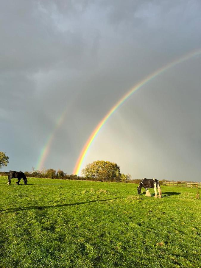 Appaloosa Suite With Amazing Views Of Stud Farm. Driffield Ngoại thất bức ảnh