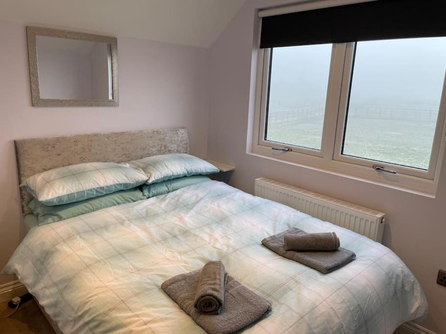 Appaloosa Suite With Amazing Views Of Stud Farm. Driffield Ngoại thất bức ảnh