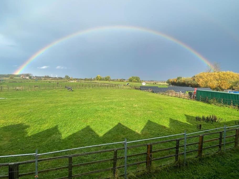 Appaloosa Suite With Amazing Views Of Stud Farm. Driffield Ngoại thất bức ảnh